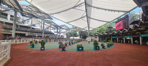 singapore horse racing tips by larry foley|Larry Foley @kranjiracing .